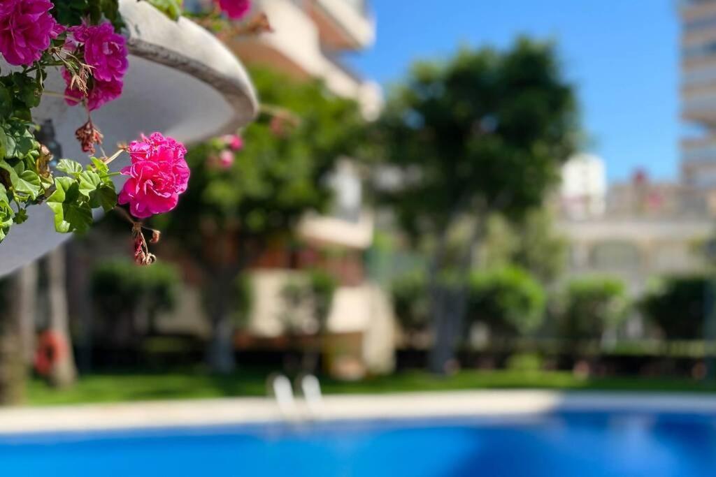 Encantador Y Coqueto Loft A 8 Min. De La Playa. 알리칸테 외부 사진